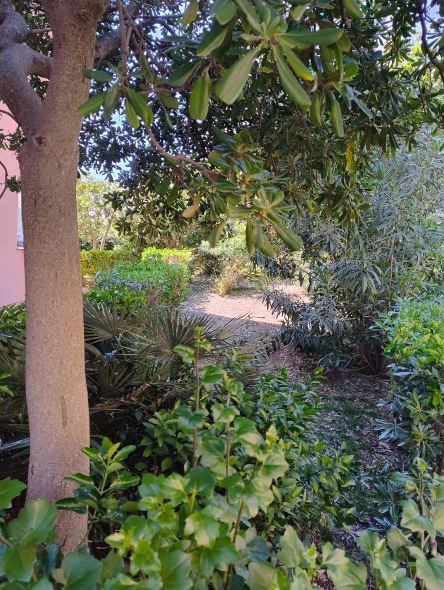 Ferienwohnung Destinazione Paradiso Piombino Exterior foto